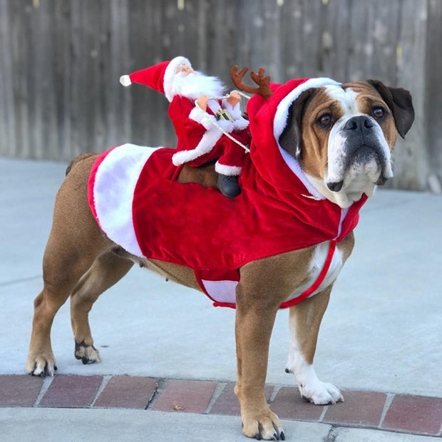 Christmas Dog Clothes / Santa Dog Costumes